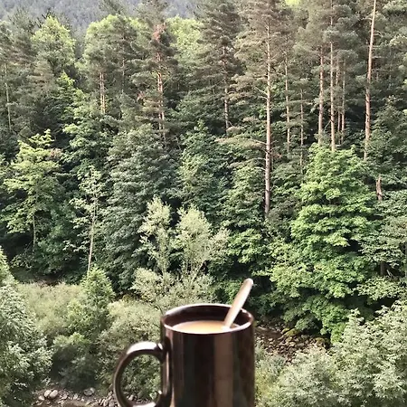 El Refugio De La Ardilla, Canfranc-estacion Apartamento
