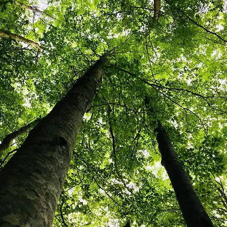 El Refugio De La Ardilla, Canfranc-estacion
