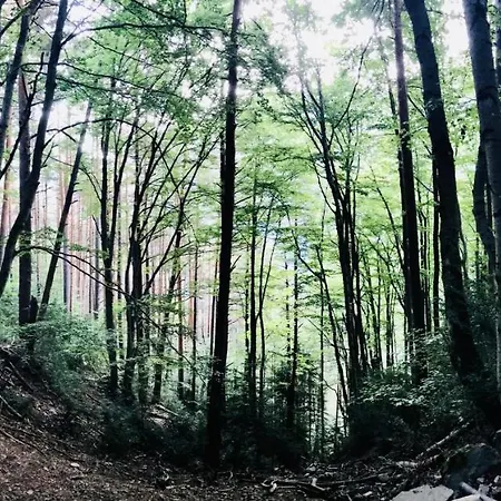 Apartman El Refugio De La Ardilla, Canfranc-estacion Canfranc