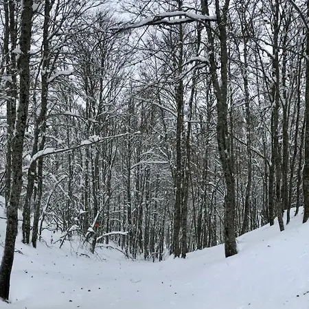 El Refugio De La Ardilla, Canfranc-estacion